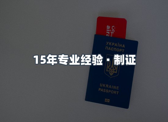 证件页面制证展示